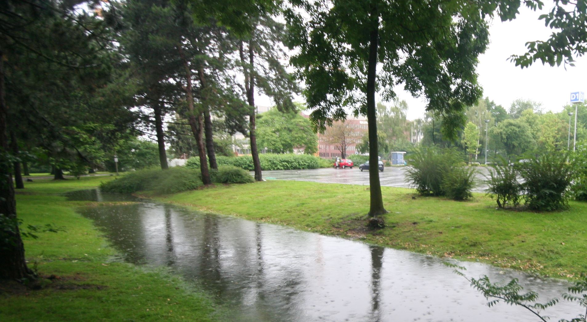 Warum 5 Grunde Galabau Regenwasser